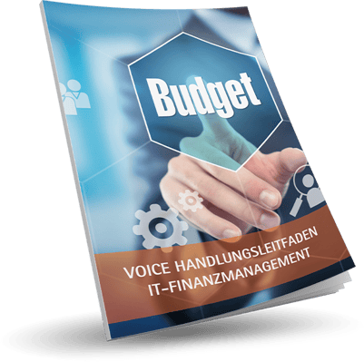 VOICE Handlungsleitfaden IT-Finanzmanagement