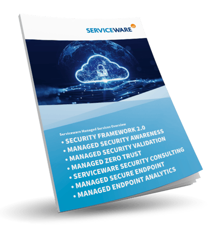 Serviceware Managed Services Overview