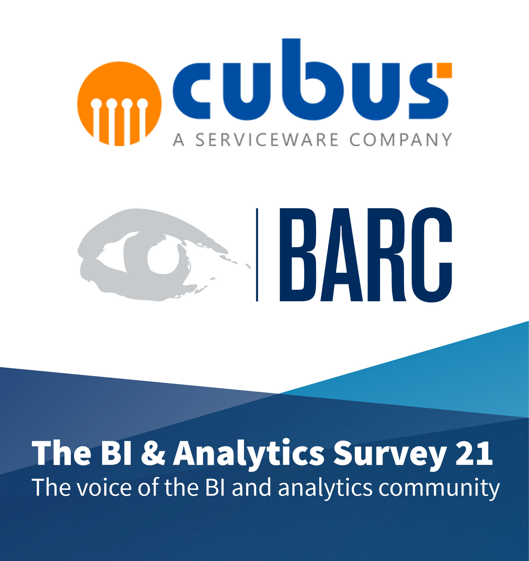 Serviceware Performance im The BARC BI Analytics Survey 21.