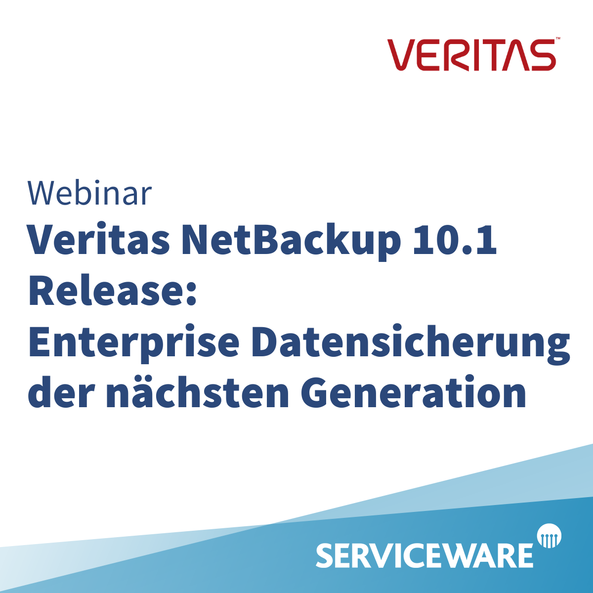Veritas NetBackup 10.1 Release